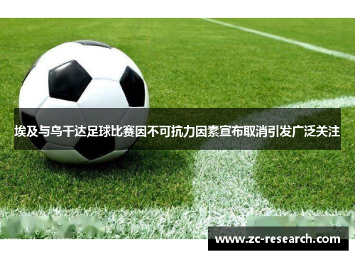 埃及与乌干达足球比赛因不可抗力因素宣布取消引发广泛关注
